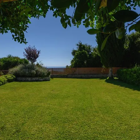 Vivian's Endless View